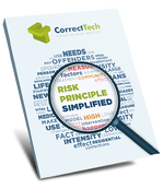 Risk Principle Simplified eBook from CorrectTech