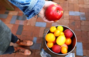 Canva - Person Holding Apple Fruit